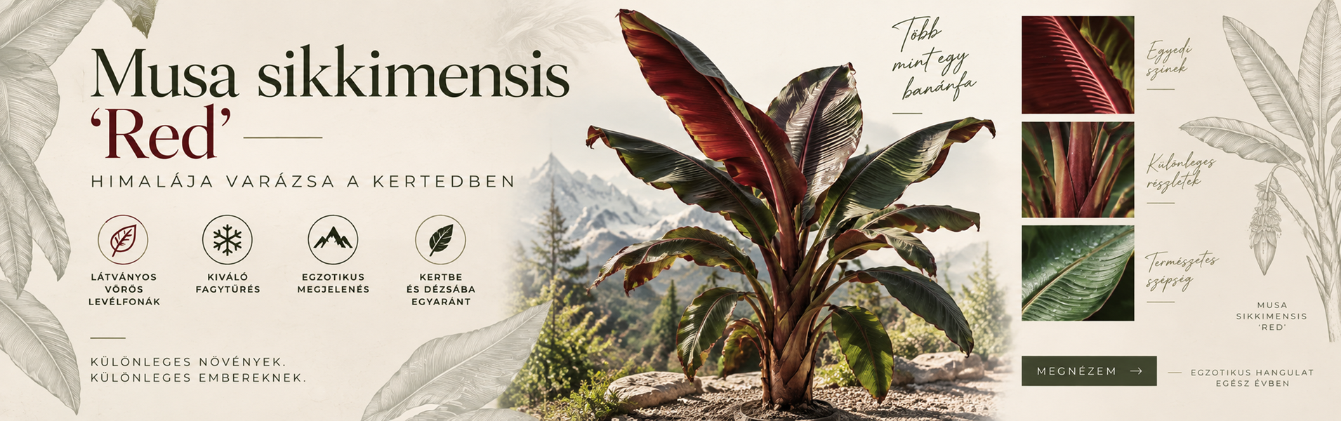 goldenpalm.unas.hu