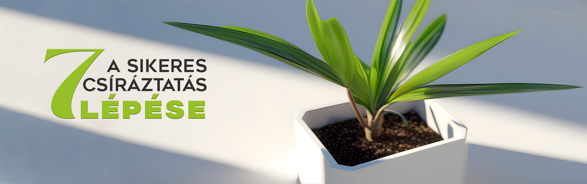 Sikeres csíráztatás titka