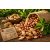 Arachis hypogaea - Földimogyoró, Búrmogyoró, Amerikaimogyoró - 5db mag/csomag