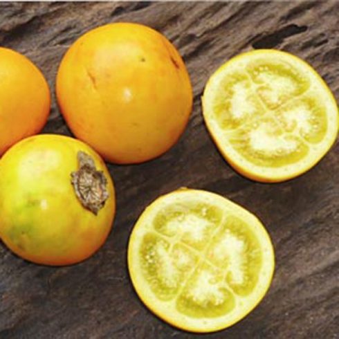 Solanum quitoense - Naranjilla - 5db mag/csomag