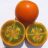 Solanum quitoense - Naranjilla - 5db mag/csomag