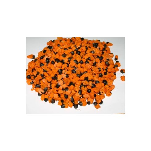 Strelitzia nicolai - Kék papagájvirág - 5db mag/csomag