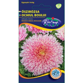Őszirózsa prinzess virágú, RÓZSASZÍN - 1g