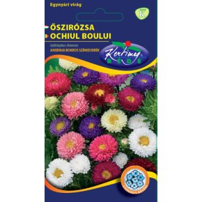 Őszirózsa Amerikai bokros színkeverék - 1g