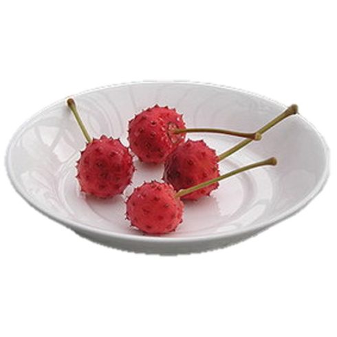 Cornus kousa - Csillagsom, Kósa-som - 5db mag/csomag