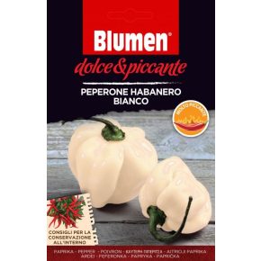   Fehér habanero paprika – extrém csípős - kb. 10-20 szem BLUMEN
