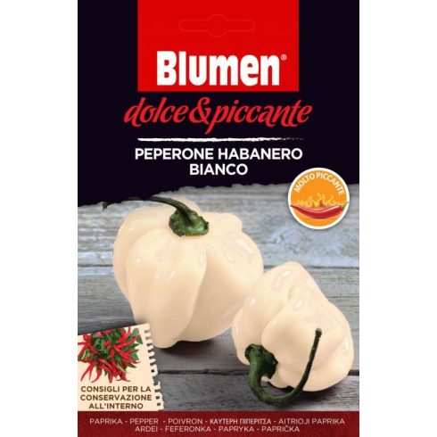 Fehér habanero paprika – extrém csípős - kb. 10-20 szem BLUMEN