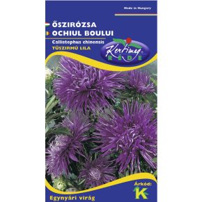 Őszirózsa tűszirmú, KÉK - 1g