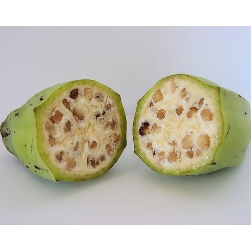 Musa balbisiana var. balbisiana  Sweet Banana - 5pcs seeds/packet - goldenpalm.hu