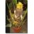 Musella lasiocarpa  Yunnan Dwarf Banana - 5pcs seeds/packet - goldenpalm.hu