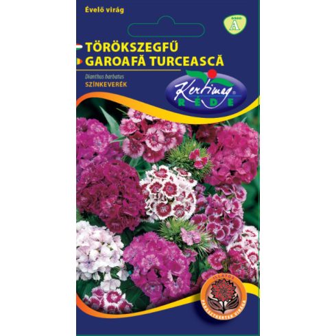 Törökszegfű SZÍNKEVERÉK - Dianthus barbatus - 0,5g