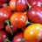 Solanum betaceum - Tamarillo - 5db mag/csomag