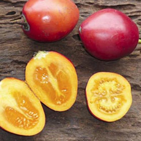 Solanum betaceum - Tamarillo - 5db mag/csomag