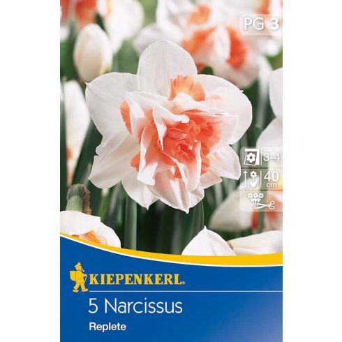 Teltvirágú nárcisz hagyma - Replete - 5db hagyma/csomag