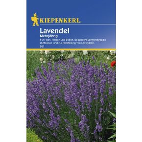 Lavandula angustifolia - Levendula