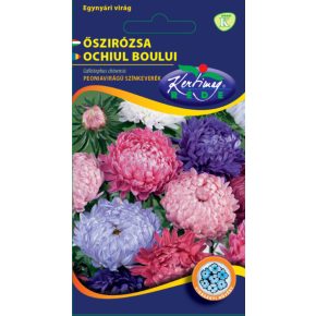 Őszirózsa PEONIA virágú színkeverék - 1g