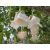 Adansonia digitata baobab fehér lecsüngő virágai közelről