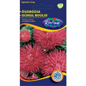 Őszirózsa tűszirmú, PIROS - 1g