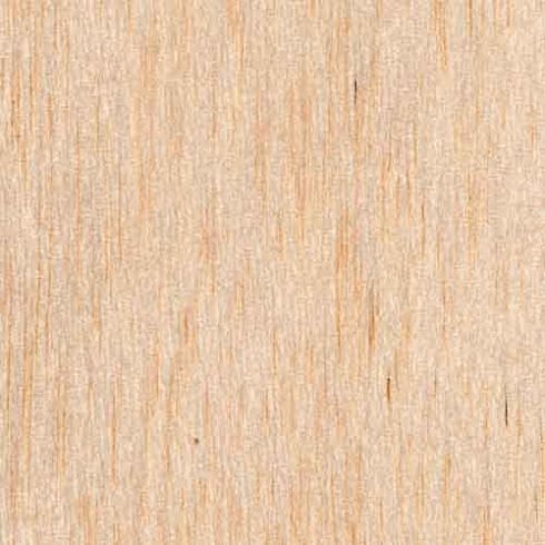 Ochroma pyramidale - Balsafa - 5db mag/csomag