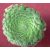 Aeonium tabuliforme - 5db mag/csomag