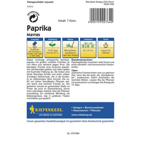 Fekete paprika - Capsicum annuum L.