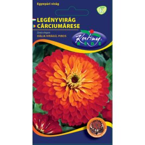 Legényvirág, rézvirág PIROS - Zinnia elegans - 2g