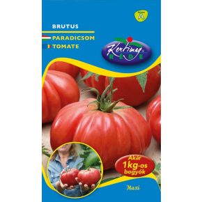 Óriás paradicsom mag Brutus - 0,5g