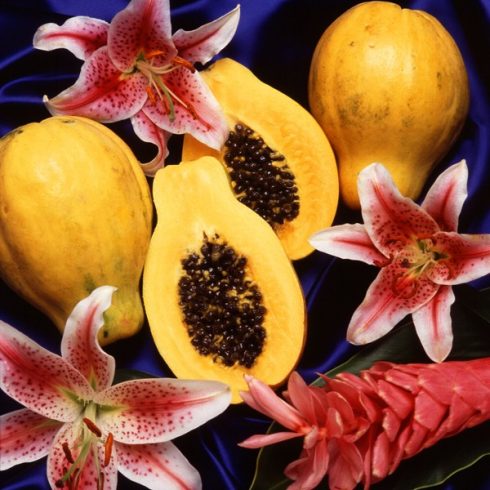 Carica papaya - Papaya - 5db mag/csomag