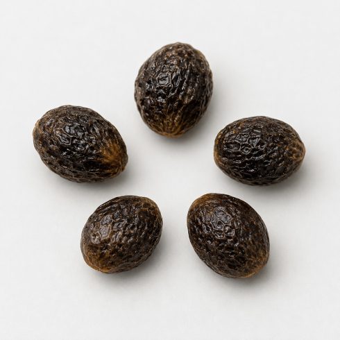 Carica papaya - Papaya - 5db mag/csomag