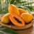 Carica papaya - Papaya - 5db mag/csomag