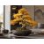 Larix sibirica szibériai vörösfenyő bonsai aranysárga őszi lombbal, dekoratív kerámia bonsai tálban modern enteriőrben