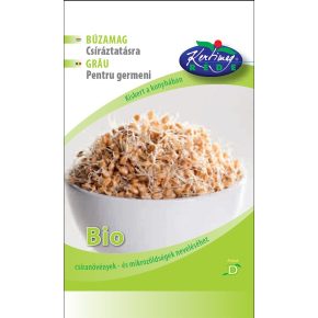 Csíranövény Búza BIO - 50g