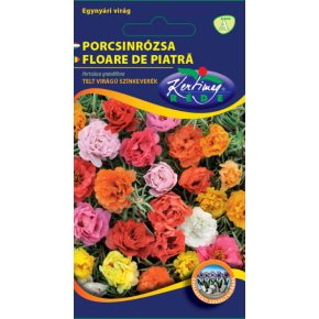 Porcsinrózsa telt SZÍNKEVERÉK - 0,5g