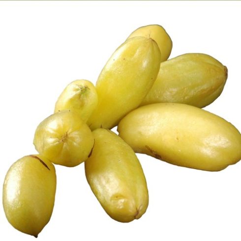Averrhoa bilimbi - Bilimbifa - 5db mag/csomag