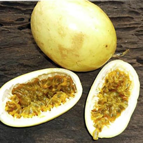 Passiflora edulis f. flavicarpa - Ekvádori golgotavirág - 5db mag/csomag