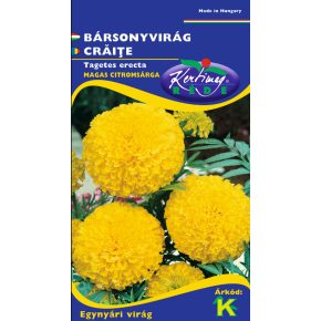  Bársonyvirág, nagyvirágú magas, citromsárga - Tagetes erecta - 1g