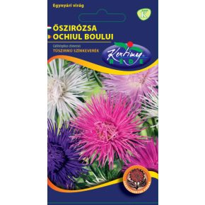 Őszirózsa tűszirmú, SZÍNKEVERÉK - 1g