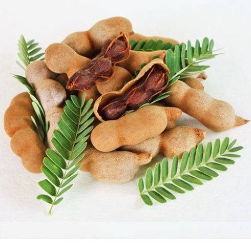 Tamarindus indica - Tamarinduszfa - 5db mag/csomag