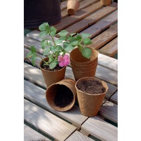   Tőzegcserép "Growing Pots" 6 cm átmérőjű 24 db - goldenpalm.hu