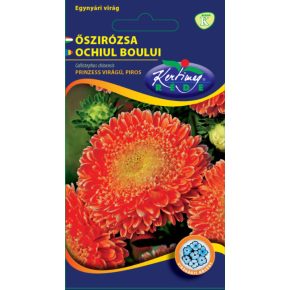 Őszirózsa prinzess PIROS - 1g