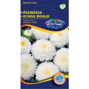 Őszirózsa prinzess FEHÉR - 1g