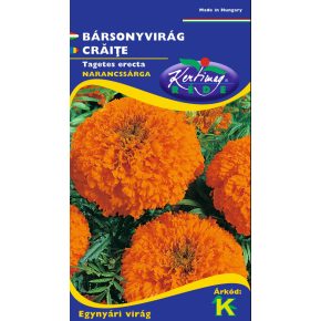   Bársonyvirág, nagyvirágú magas, narancssárga - Tagetes erecta - 1g