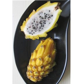 Hylocereus megalanthus - Sárga Pitaya - 5db mag/csomag