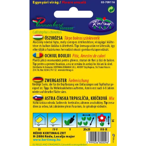 Őszirózsa színkeverék, törpe, bokros - 1g