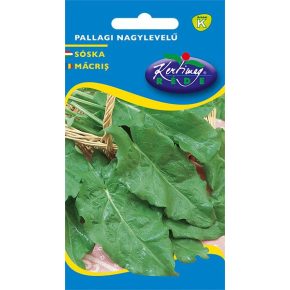 Sóska, pallagi nagylevelű, áttelelő - 1g