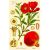 Punica granatum - Gránátalma - 5db mag/csomag