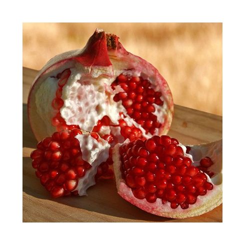 Punica granatum - Gránátalma - 5db mag/csomag