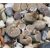 Lithops dinteri - Kavicsvirág - 3db mag/csomag