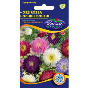 Őszirózsa prinzess SZÍNKEVERÉK - 1g