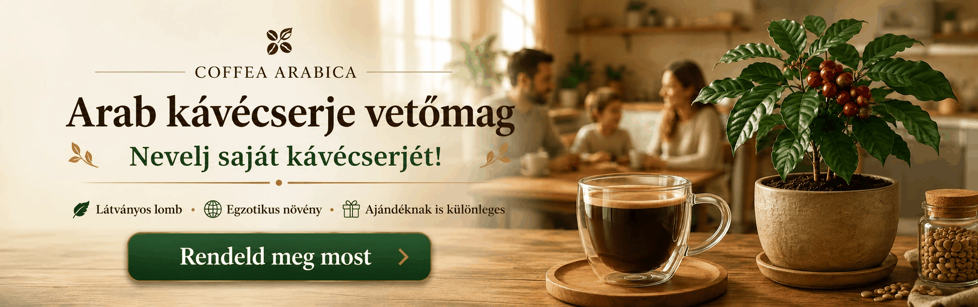 Coffea arabica arab kávécserje vetőmag, nevelj saját kávécserjét otthon